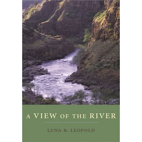 A View of the River - Paperback