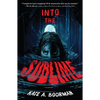 Into the Sublime - Paperback