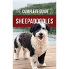 The Complete Guide to Sheepadoodles: Finding, Raising, Training, Feeding, Socializing, and Loving Your New Sheepadoodle Puppy - Hardcover