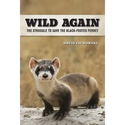 Wild Again: The Struggle to Save the Black-Footed Ferret - Hardcover