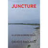 Juncture: A Lucena Burning Novel - Paperback
