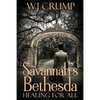 Savannah's Bethesda: Healing for All: Healing for All: - Paperback
