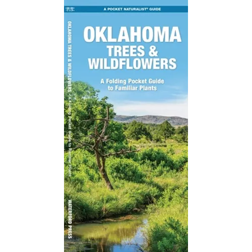 Oklahoma Trees & Wildflowers: An Introduction to Familiar Species - Paperback