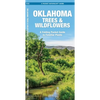 Oklahoma Trees & Wildflowers: An Introduction to Familiar Species - Paperback
