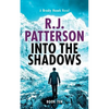 Into the Shadows - Paperback