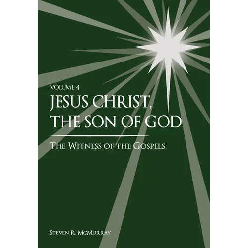 Jesus Christ, the Son of God, the Witness of the Gospels, Vol. 4 - Hardcover
