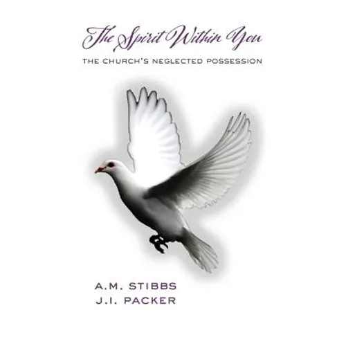 The Spirit Within You: The Church's Neglected Possession - Paperback