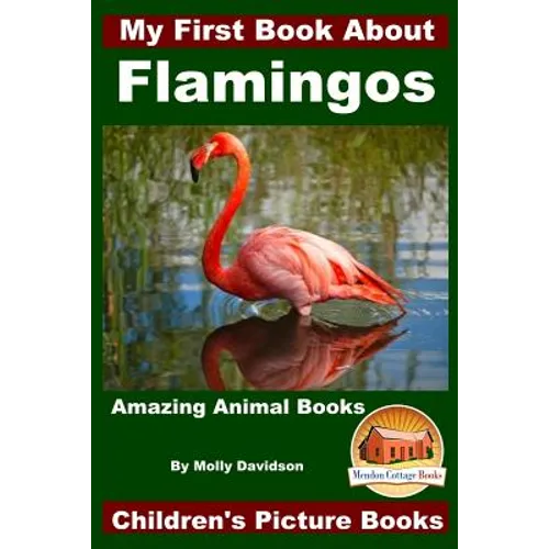 My First Book About Flamingos - Amazing Animal Books - Children's Picture Books - Paperback