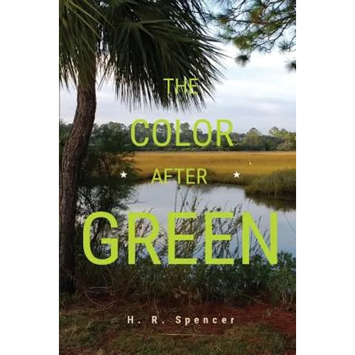 The Color After Green - Paperback
