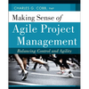Making Sense of Agile Project Management - Paperback