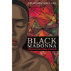 Black Madonna: A Womanist Look at Mary of Nazareth - Hardcover
