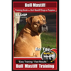 Bull Mastiff Training Book for Dogs & Puppies By BoneUP DOG Training: Are You Ready to Bone Up? Easy Training * Fast Results Bull Mastiff Training - Paperback