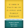 Common Factors in Couple and Family Therapy: The Overlooked Foundation for Effective Practice - Hardcover