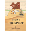 Sinai Prospect - Paperback