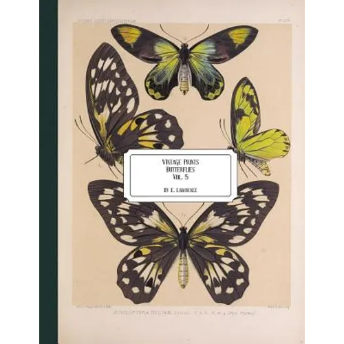 Vintage Prints: Butterflies: Vol. 5 - Paperback