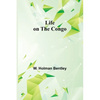 Life on the Congo - Paperback