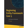 Beginning Entity Framework Core 5: From Novice to Professional - Paperback