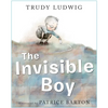 The Invisible Boy - Hardcover