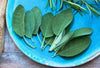 Sage Powder