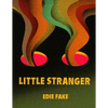 Little Stranger - Paperback