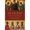Life in the Trinity: An Introduction to Theology with the Help of the Church Fathers - Paperback