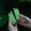 Kawaii Red Panda Picnic Switch Case OLED/NS2