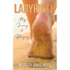 Labyrinth: My Journey to Belonging - Paperback