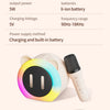 Cute Cat Mini Karaoke Speaker
