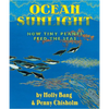 Ocean Sunlight: How Tiny Plants Feed the Seas - Hardcover