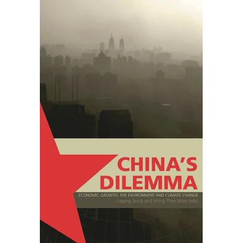 China's Dilemma: Economic Growth, the Environment and Climate Change - Paperback