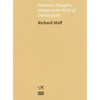 Sensuous Thoughts: Essays on the Work of Donald Judd - Paperback