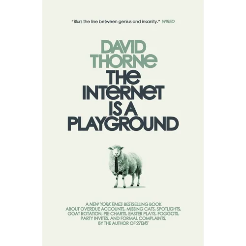 The Internet is a Playground - Paperback