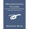 Organisational Culture: Creating the Influence Needed for Strategic Success - Paperback