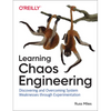 Learning Chaos Engineering: Discovering and Overcoming System Weaknesses Through Experimentation - Paperback