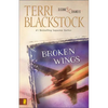 The Broken Wings - Paperback