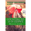 Counting to 10 in Ojibwe: A Boozhoo Nana Boozhoo Book - Paperback