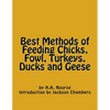 Best Methods of Feeding Chicks, Fowl, Turkeys, Ducks and Geese - Paperback
