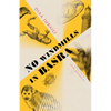 No Windmills in Basra - Paperback