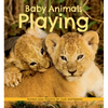 Baby Animals Playing - Paperback
