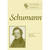 The Cambridge Companion to Schumann - Paperback