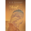 Third Haven: A Novel of Deceit - Paperback