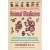 Animal Medicine: A Curanderismo Guide to Shapeshifting, Journeying, and Connecting with Animal Allies - Paperback