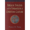 Biblical Exegesis and the Formation of Christian Culture - Paperback