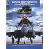 Wings That Stay on: The Role of Fighter Aircraft in War - Paperback
