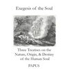 Exegesis of the Soul: Three Treatises on the Nature, Origin, & Destiny of the Human Soul - Paperback
