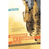 Imprisoned in a Luminous Glare: Photography and the African American Freedom Struggle - Paperback