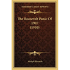 The Roosevelt Panic Of 1907 (1910) - Paperback