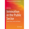 Innovation in the Public Sector: Smarter States, Services and Citizens - Paperback