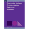 Detecting the Stochastic Gravitational-Wave Background - Paperback
