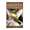 Super Strong and Powerful Insects - Discover: Early reader's wildlife photography book - Paperback